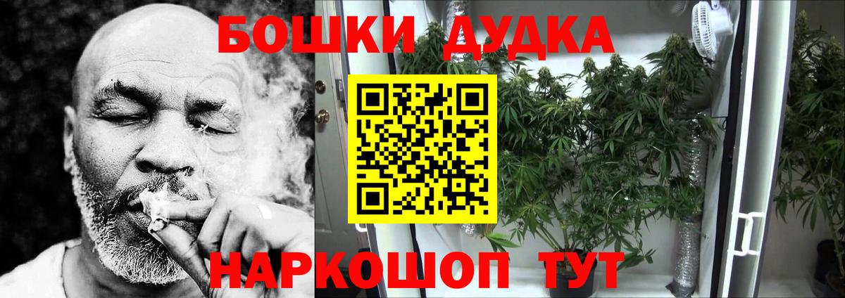 Кызыл  Шишки марихуана тримм  Вход с VPN  Бошки Шишки план  МАРИХУАНА White Widow 